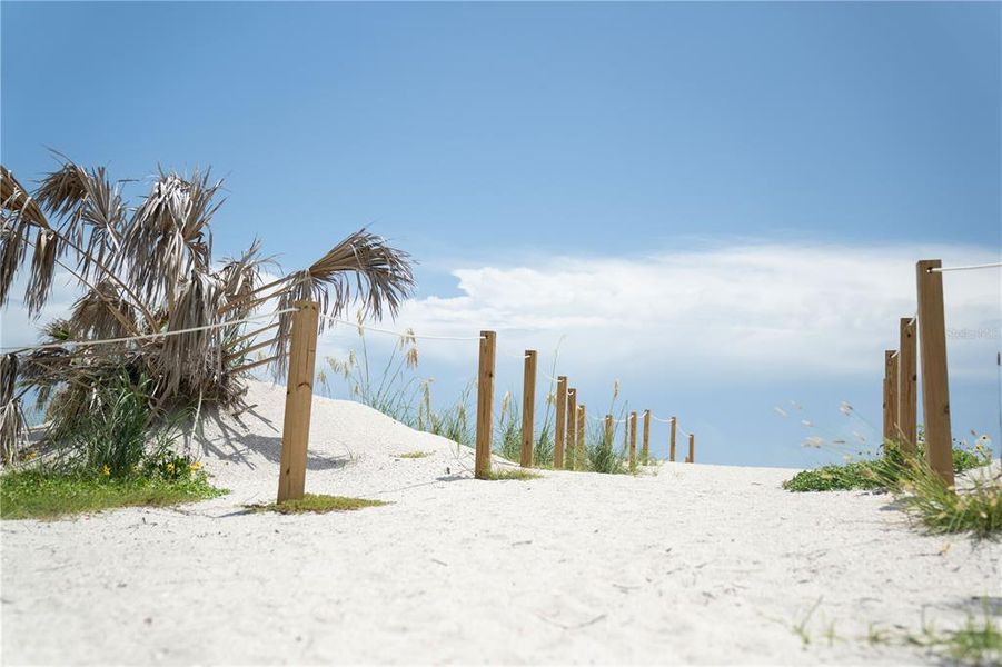 Natural landscape and outdoor views near  in Port Charlotte (Image 64).