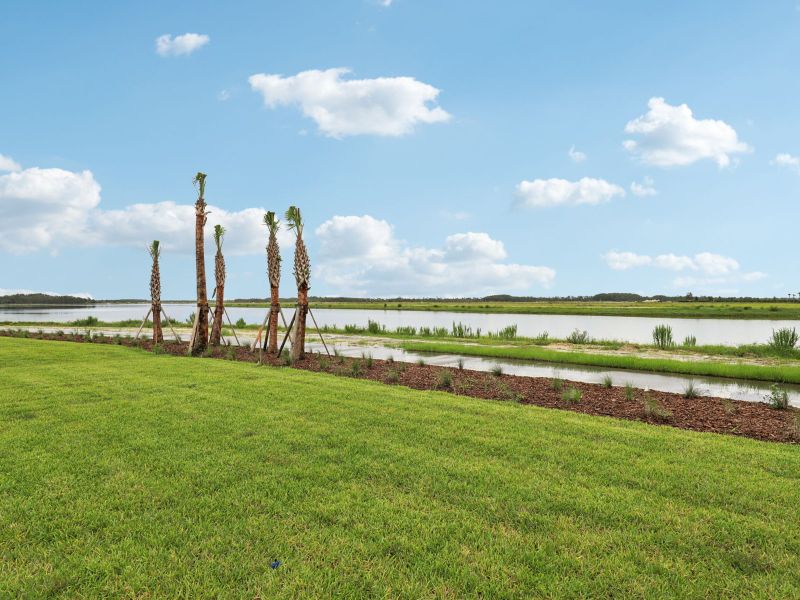 The Willet floorplan at 44513 Frontier Dr The Willet floorplan at 44513 Frontier Dr