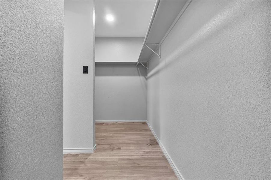 Spacious closet featuring wood-type flooring