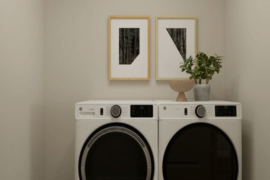 A white washing machine and a plant. A white washing machine and a plant.