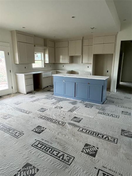 Kitchen featuring plenty of natural light and a center island