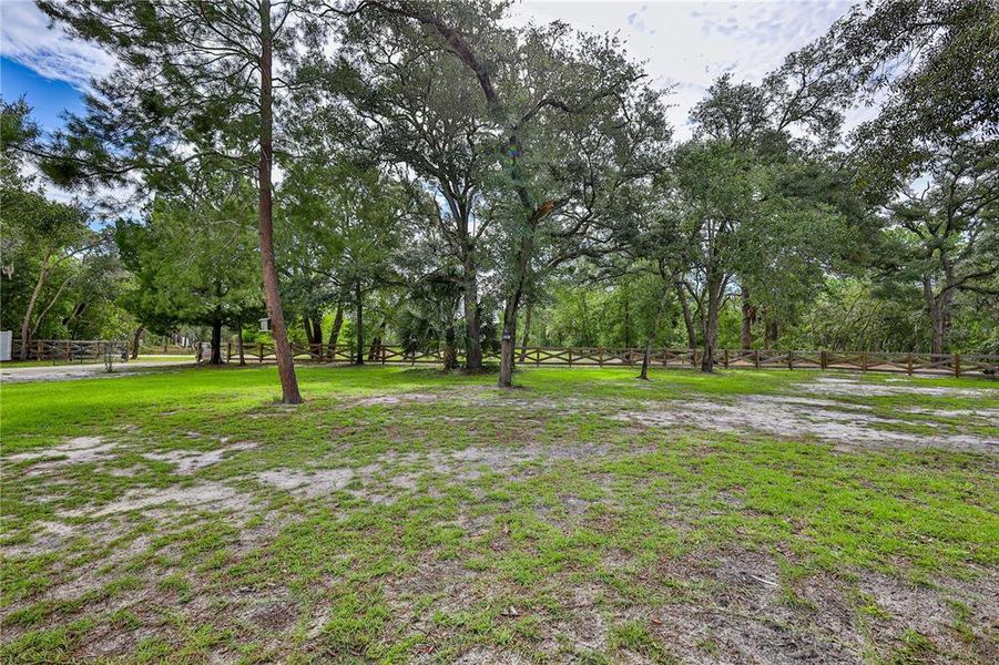 Natural landscape and outdoor views near in Weeki Wachee (Image 63). Natural landscape and outdoor views near in Weeki Wachee (Image 63).