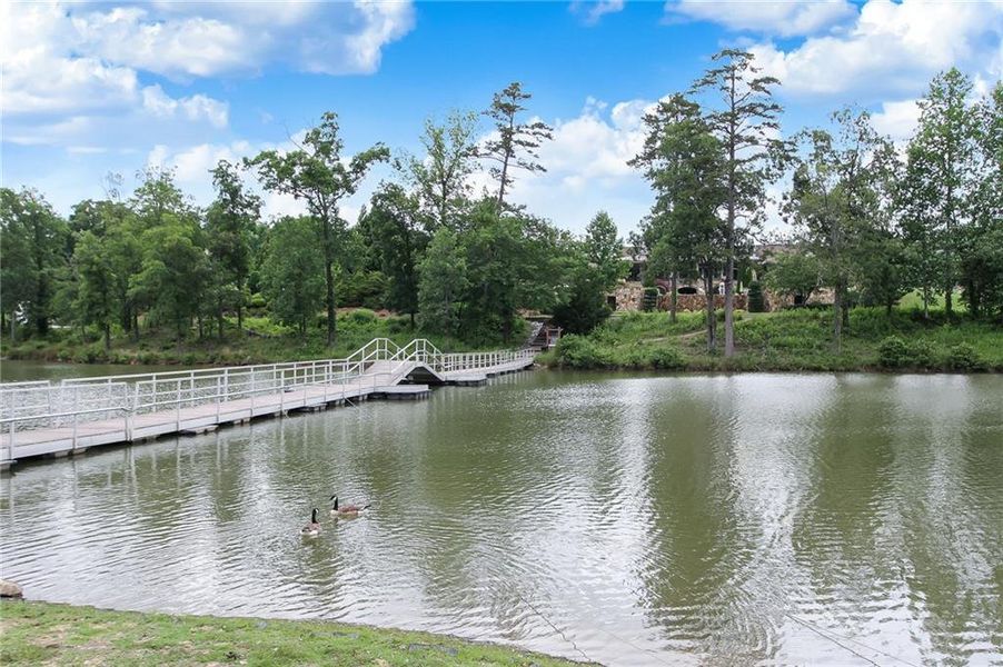 Natural landscape and outdoor views near in Flowery Branch (Image 89). Natural landscape and outdoor views near in Flowery Branch (Image 89).