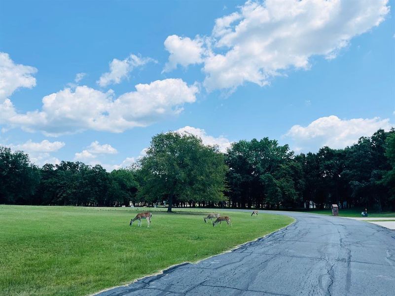 Image 21 of a home in . Image 21 of a home in .