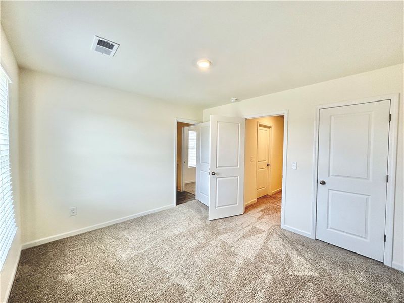 *Photo is from similar Palomino. Actual pics will *Photo is from similar Palomino. Actual pics will