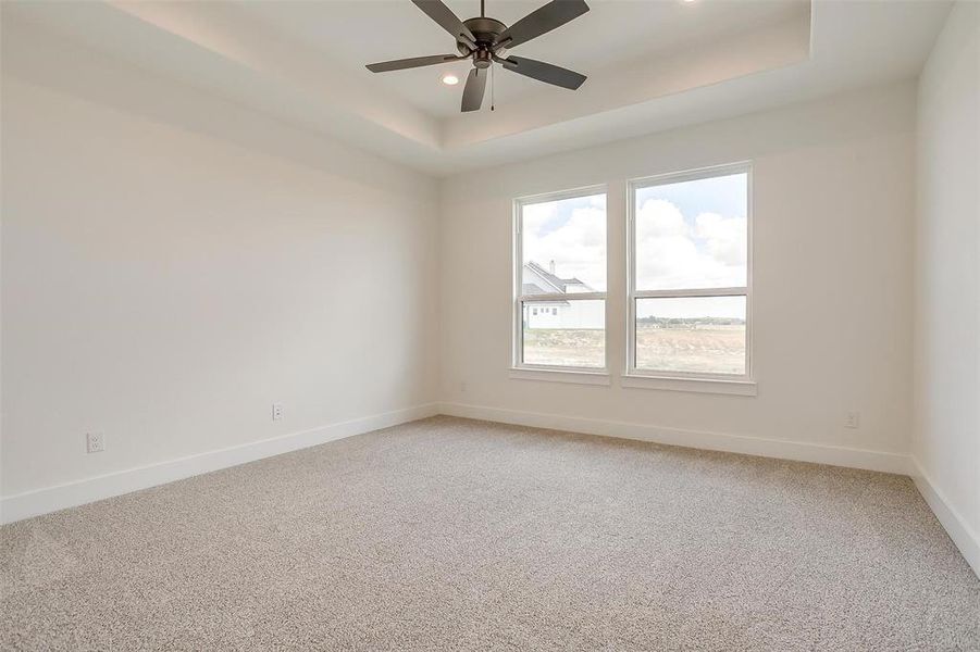 Unfurnished room with a raised ceiling, ceiling fan, and carpet floors