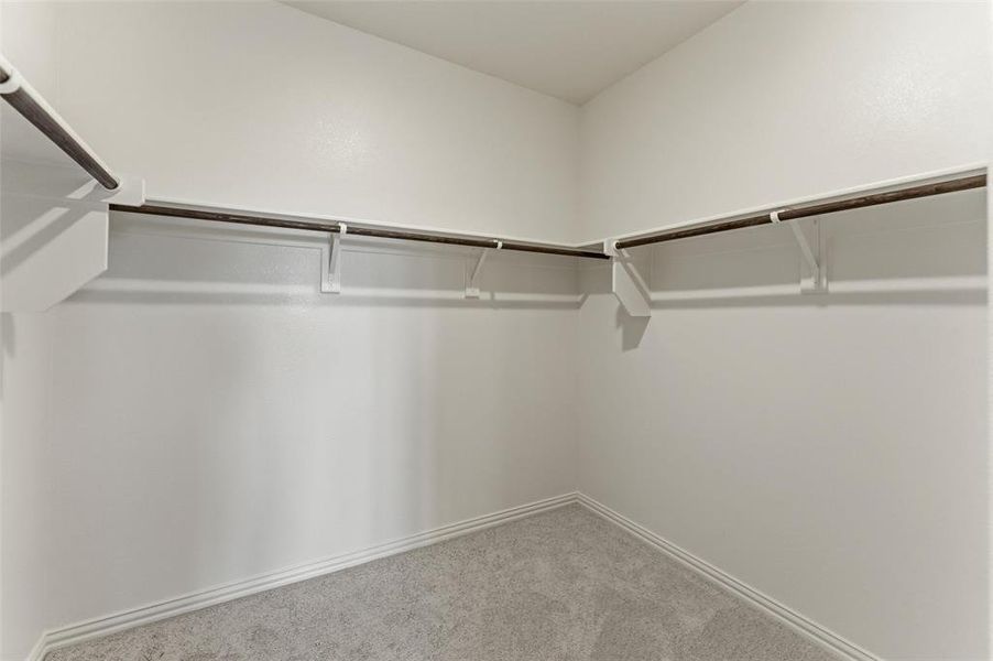 Walk in closet with carpet flooring