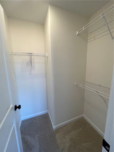 Spacious, unfurnished interior of a new home in Springwood Grove, Central (Image 23).