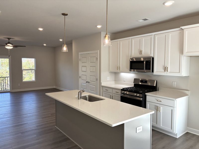 Furnished interior view inside a new home in Holly View, Greenville (Image 8).