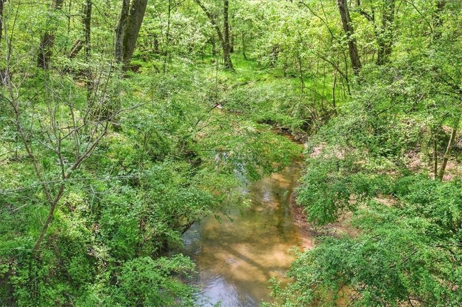 Natural landscape and outdoor views near  in Hoschton (Image 74).