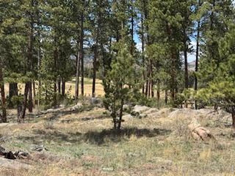 Natural landscape and outdoor views near  in Red Feather Lakes (Image 37).