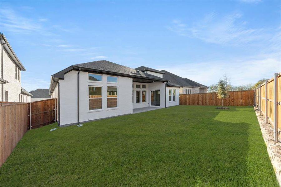 27. 605 Bunchberry - Back (2)