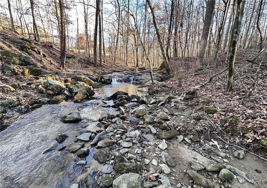 Natural landscape and outdoor views near  in Cumming (Image 19).