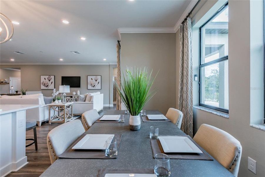Furnished interior view inside a new home in , Tarpon Springs (Image 19).