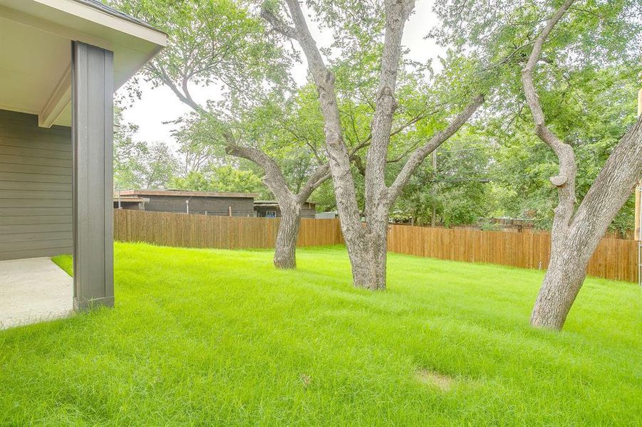Exterior details and patio area of a home in , Fort Worth (Image 22). Exterior details and patio area of a home in , Fort Worth (Image 22).