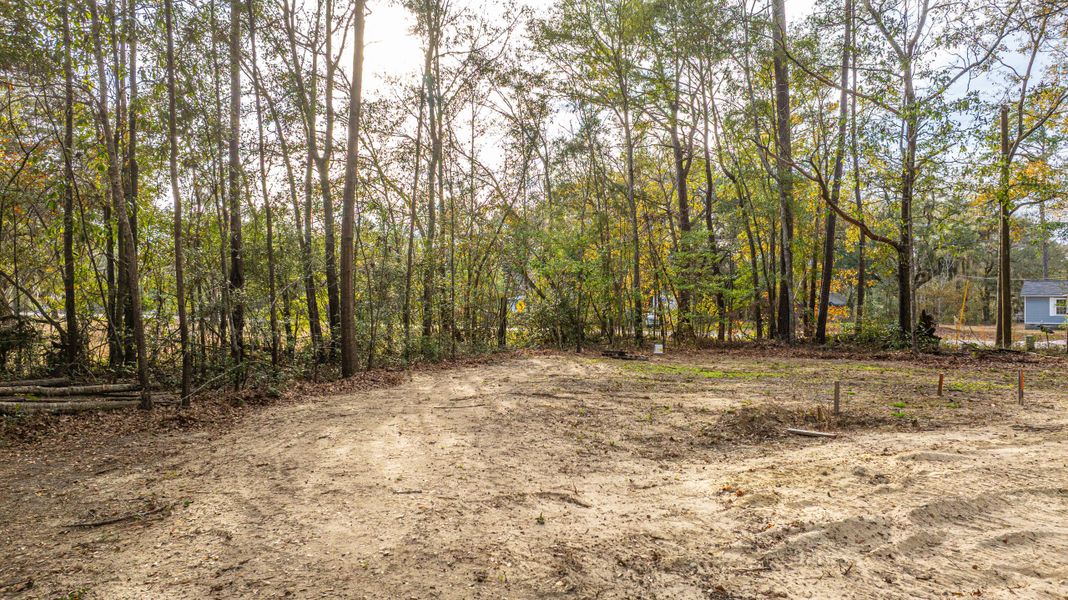 Natural landscape and outdoor views near in Adams Run (Image 5). Natural landscape and outdoor views near in Adams Run (Image 5).
