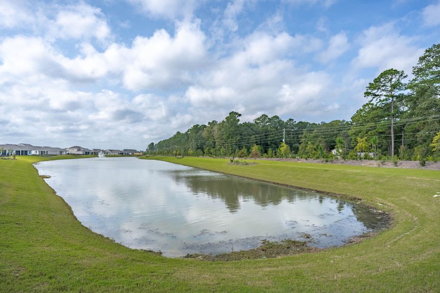Natural landscape and outdoor views near Del Webb Charleston at Nexton in Summerville (Image 51). Natural landscape and outdoor views near Del Webb Charleston at Nexton in Summerville (Image 51).