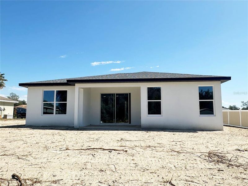 Ibis - Rear View Ibis - Rear View