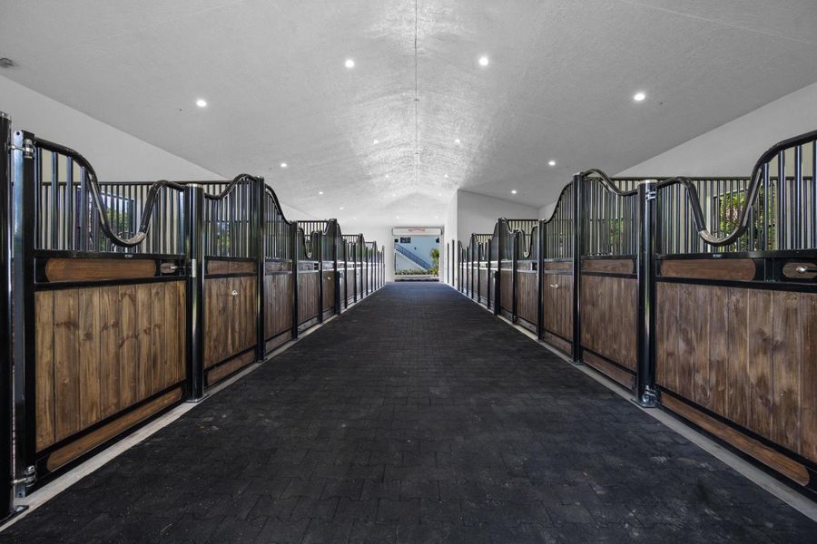 Spacious, unfurnished interior of a new home in , Wellington (Image 43).