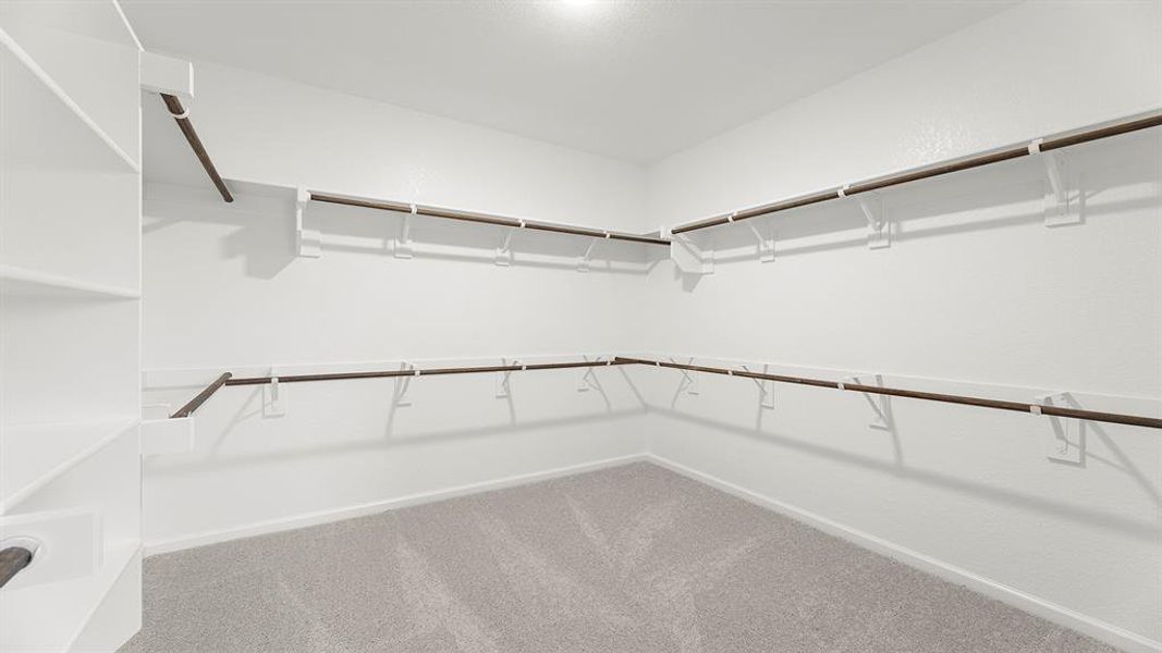 24. 3131 Duck Heights - Closet