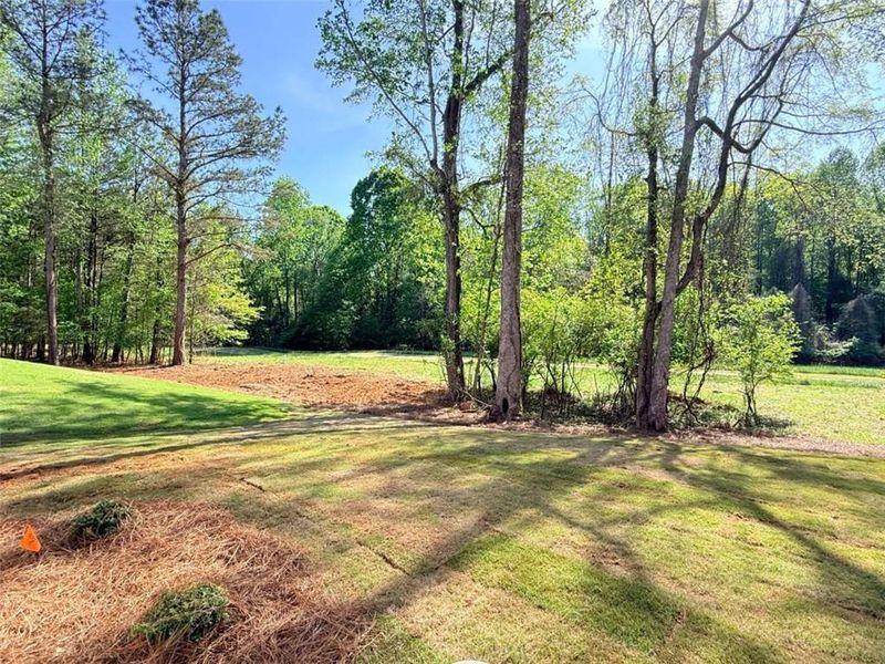 Natural landscape and outdoor views near  in Jefferson (Image 32).