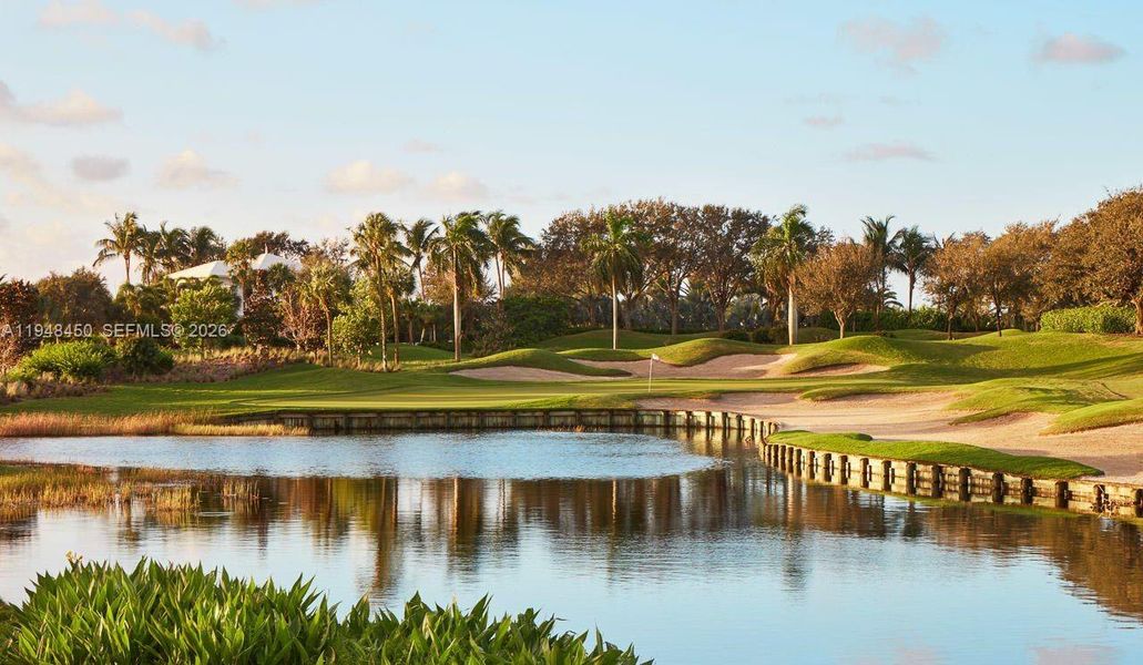 Club Golf Club Golf