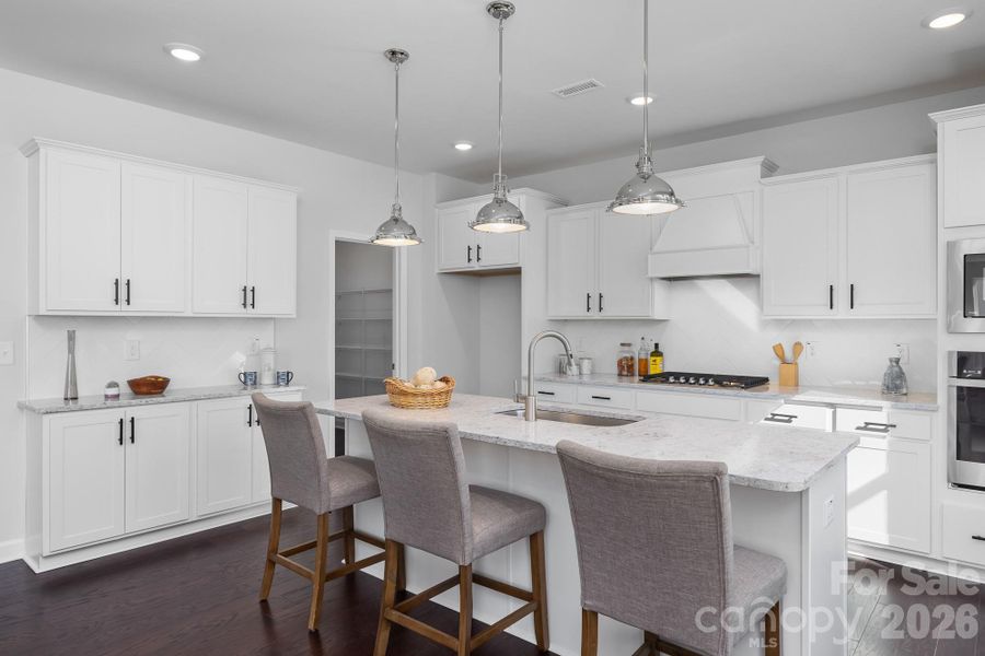 Sample photo of gourmet Kitchen