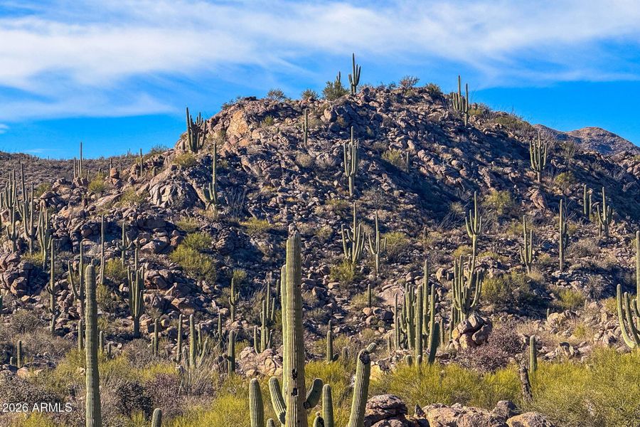 119-web-or-mls-1313 Tortolita Mountain C 119-web-or-mls-1313 Tortolita Mountain C