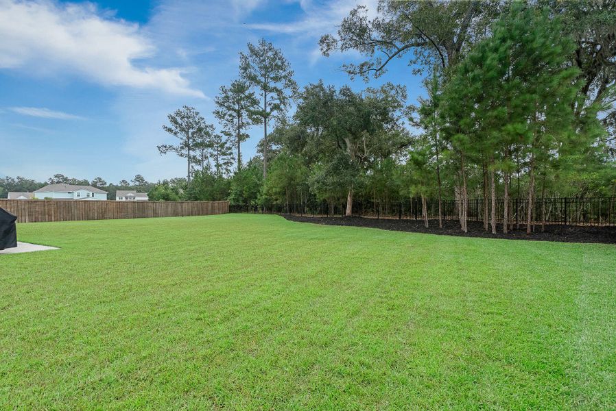 Natural landscape and outdoor views near Sea Island Preserve in Johns Island (Image 67).