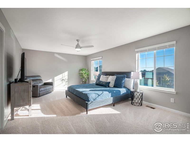 Large primary bedroom with lots of natural light.