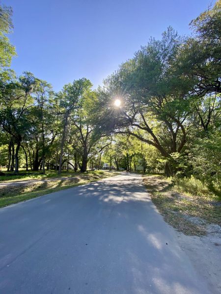 Natural landscape and outdoor views near Waterloo Estates in Johns Island (Image 34).