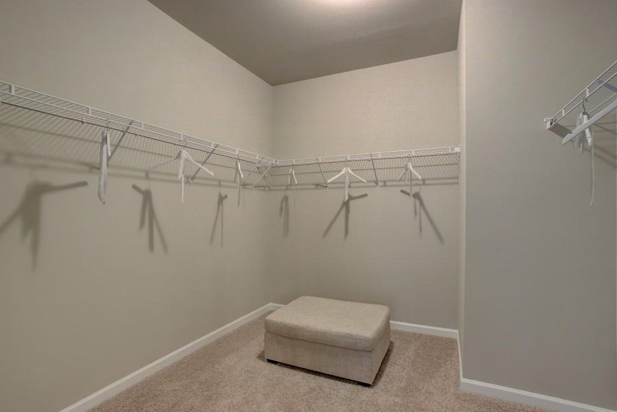 Spacious, unfurnished interior of a new home in Sutton's Landing, Statham (Image 20).