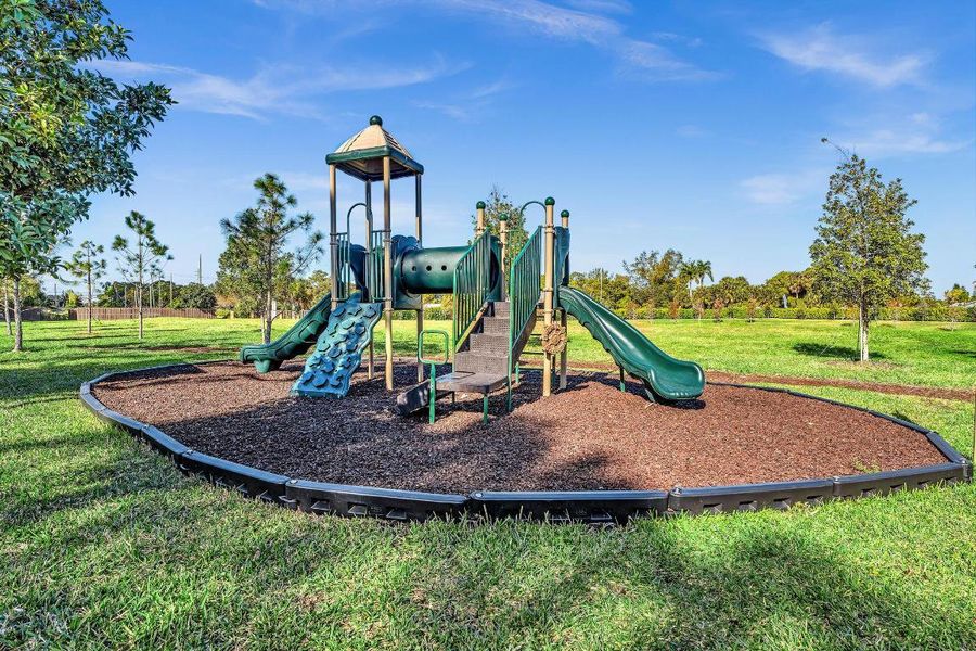 Community Playground