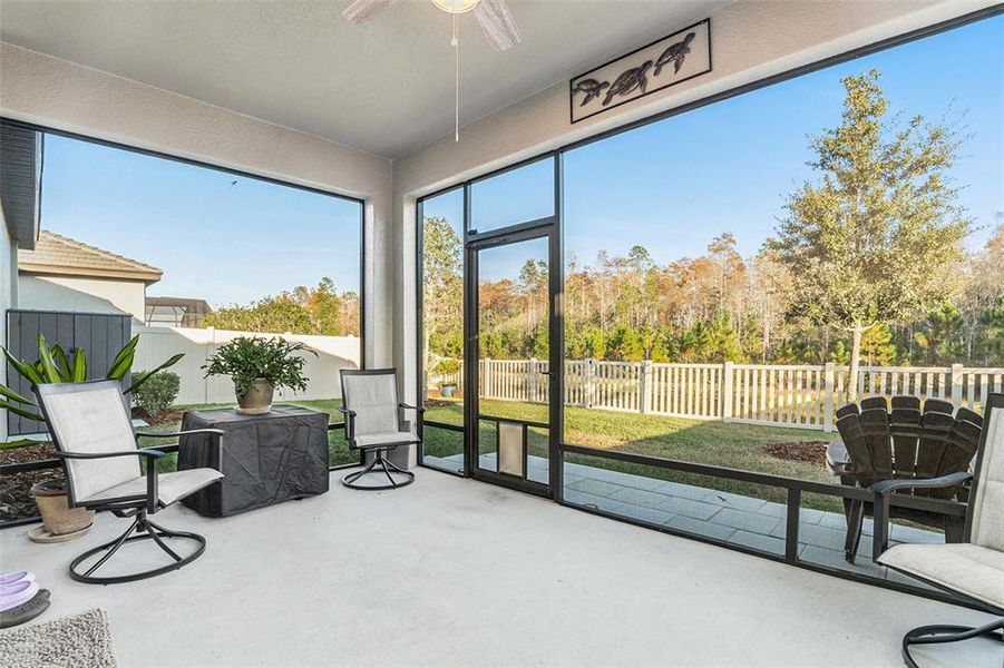 Exterior details and patio area of a home in Angeline Active Adult: Active Adult Manors, Land O' Lakes (Image 21).