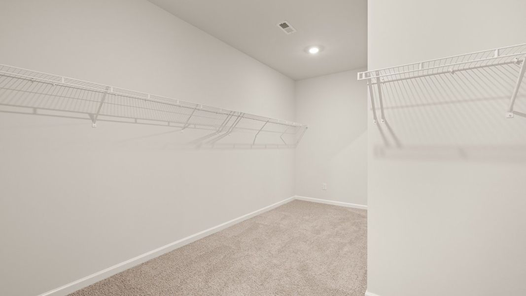 Spacious, unfurnished interior of a new home in Heritage Pointe, Senoia (Image 26).