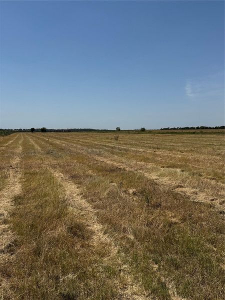 A vast cleared pasture stretches toward the horizon under a clear blue sky.