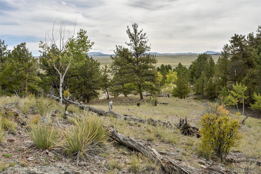 Property Has Character Property Has Character