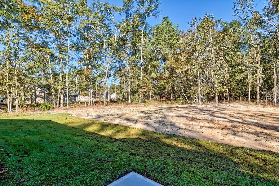 Natural landscape and outdoor views near  in Orangeburg (Image 30).