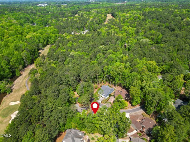 2-web-or-mls-Copy of Drone (5)