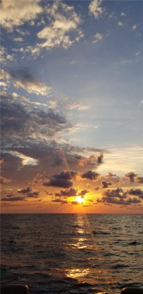 Natural landscape and outdoor views near in Sunny Isles Beach (Image 35). Natural landscape and outdoor views near in Sunny Isles Beach (Image 35).