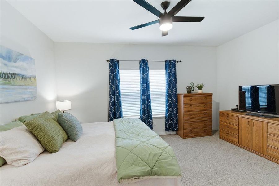 This room features a ceiling fan, carpeted flooring, and windows with blinds and patterned curtains