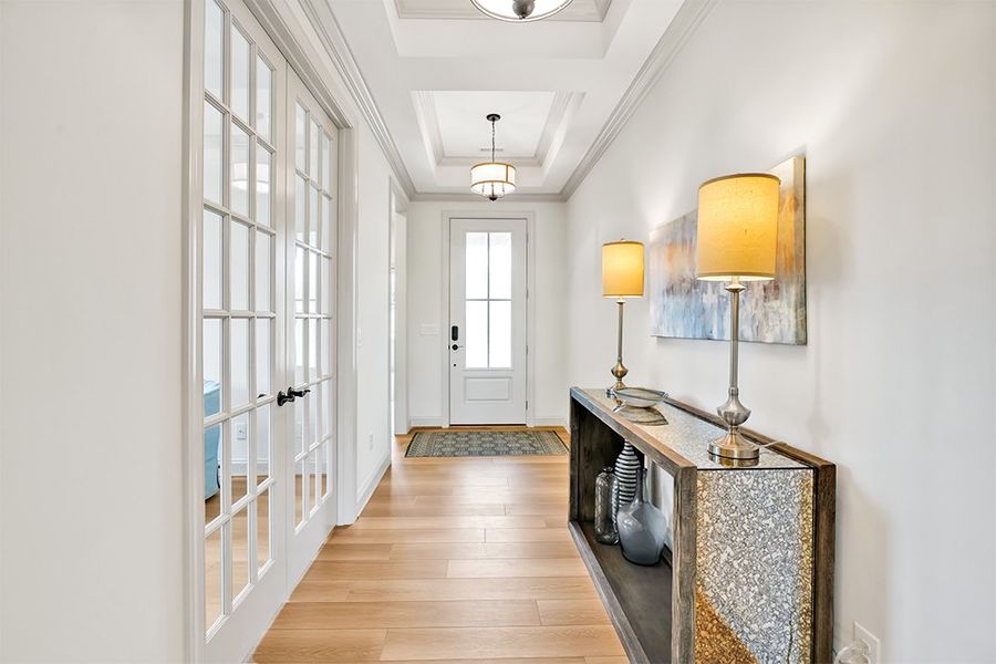 Lumina Island, Foyer