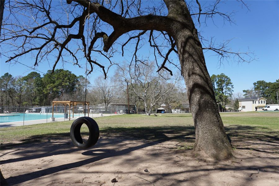 Community amenities in , Willis (Image 28).