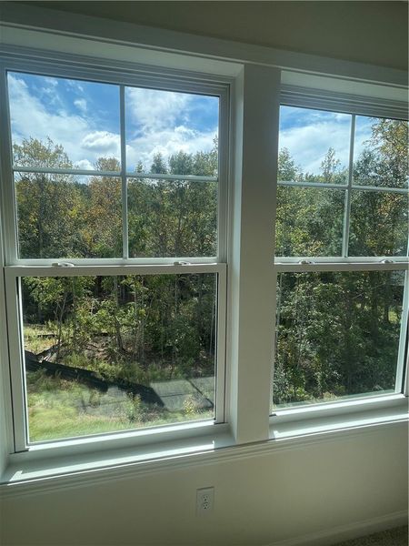 Exterior details and patio area of a home in Springwood Grove, Central (Image 3).
