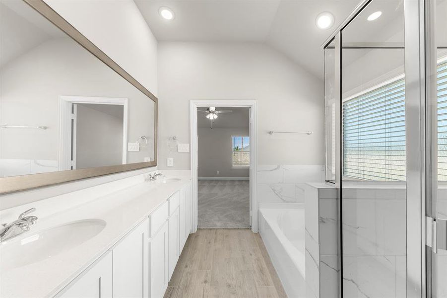 23. 141 Whistling Duck - Bath (4)