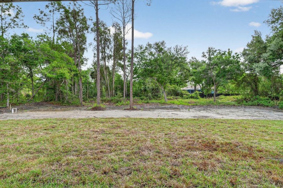 70-web-or-mls-P1171248 70-web-or-mls-P1171248