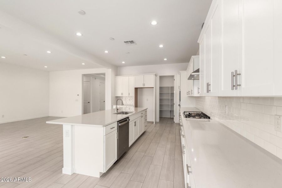 13 - Desert Hollow 15832