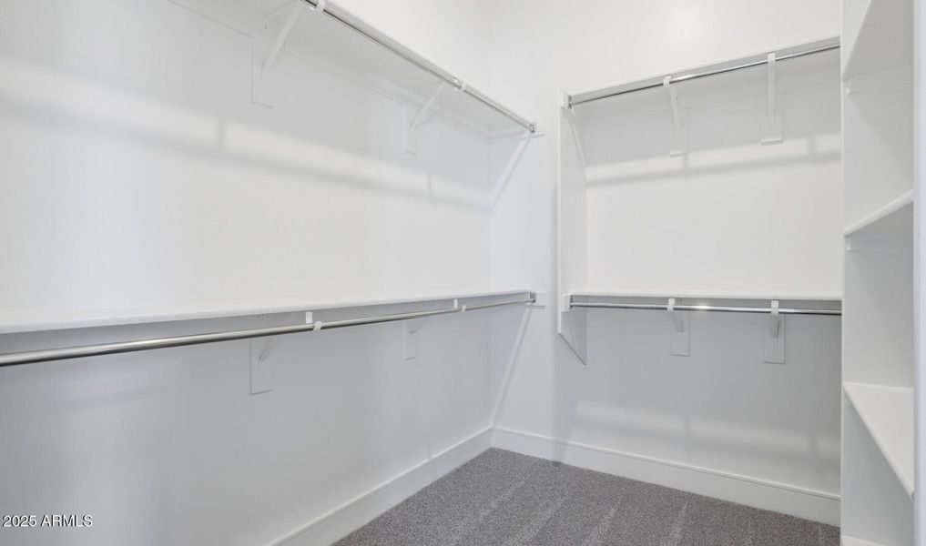 Edgewood Estates Lot #157 Primary Closet