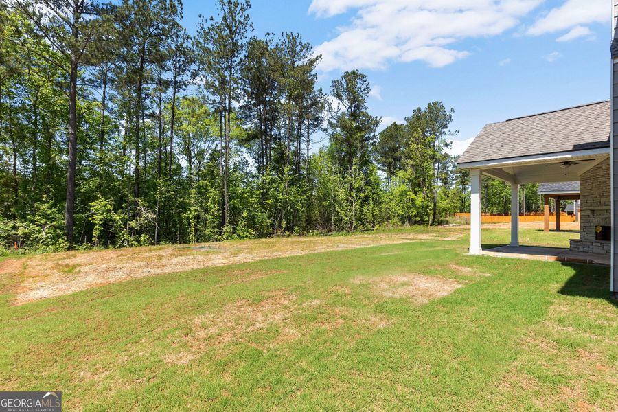 Exterior details and patio area of a home in Juliette Crossing, Forsyth (Image 33).