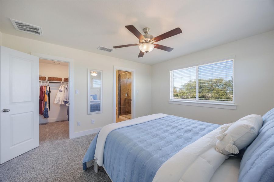 Bedroom featuring a walk in closet, multiple windows, carpet flooring, and ceiling fan Bedroom featuring a walk in closet, multiple windows, carpet flooring, and ceiling fan